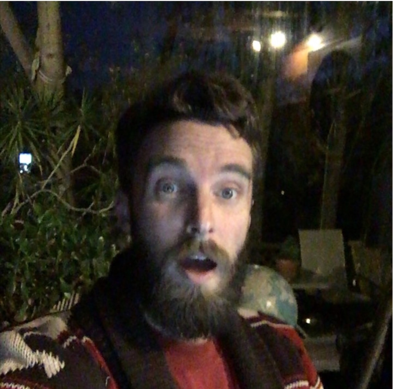 treehouseriots:  It’s windy AF here in Los Angeles. Let’s eat pizza.