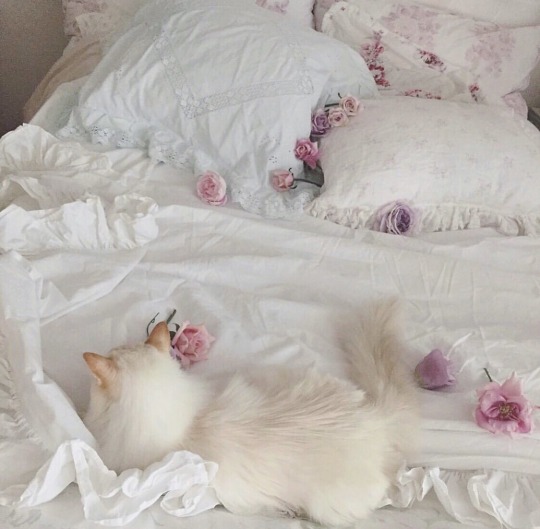 pearltiare:https://www.instagram.com/p/B1y2Hc_FxV4/?igshid=1gljyl33ivoxn 
