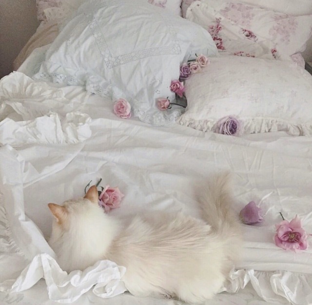 pearltiare:https://www.instagram.com/p/B1y2Hc_FxV4/?igshid=1gljyl33ivoxn 