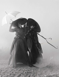 musicistheart:    Tim Walker   