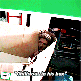 scoudins:  Just Niall Things™    
