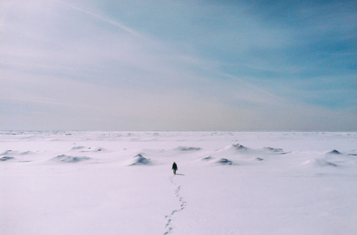 untrustyou:  Zachary Snellenberger 