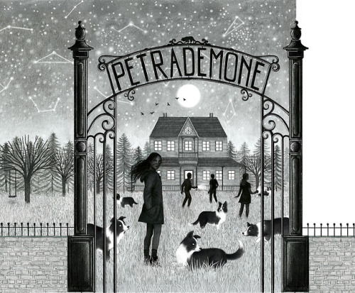 Petrademone book cover - pencil. (Mondadori, 2018)