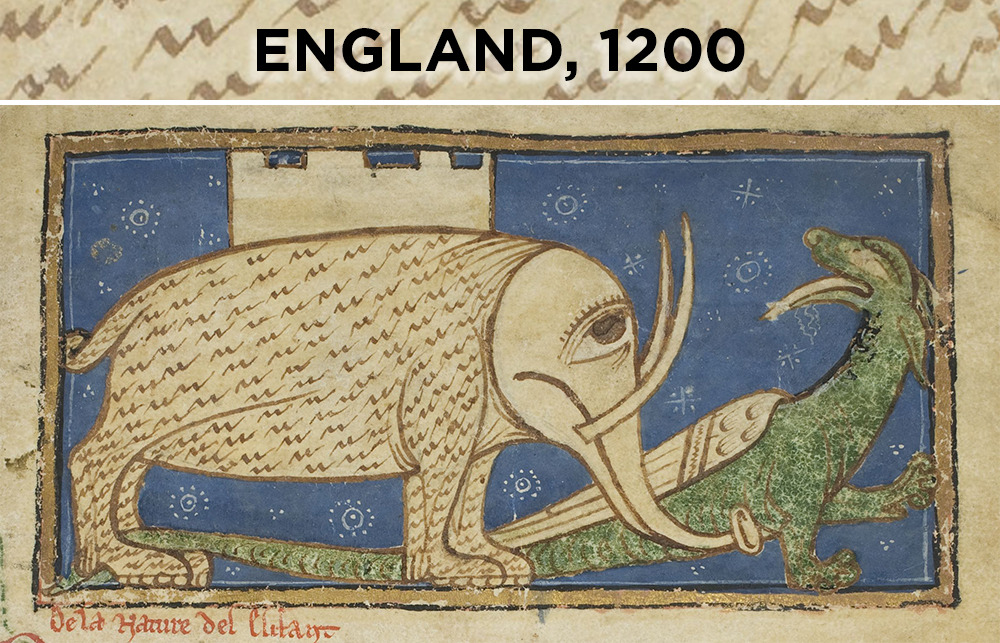 staff:  skunkbear:  One of my favorite animals, inexpertly rendered by centuries
