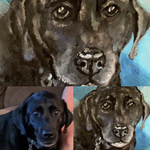 My painting of the day today is of Lucy, a beautiful black lab with soulful eyes. If you like my por