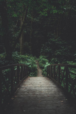 earth-dream:  Pathway | Photographer