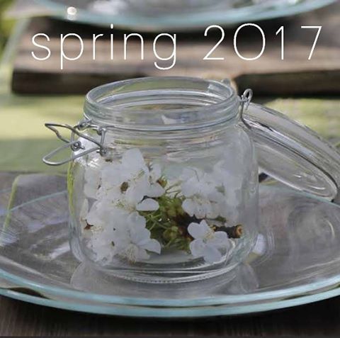 Enfin &hellip; #spring2017 #flowers #printemps #fioriraunguardino #larmoiredecamille #normandy #
