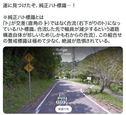 y-kasa:  定休日 「遂に見つけたぞ、純正ハト標識…！ ※純正ハト標識とは 「ト」が交差（直角の┣）ではなく合流（右下がりのト）になっているハト標識。合流した先で幅員が減少するという道路構造自体が珍しいため（しかも右からの合流）、この組合せの警戒標識は極めて少なく、絶滅が危惧されている。