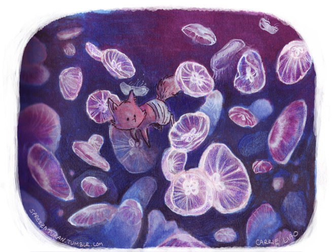 sprezzaturan:  Wee foxes on an island adventure 