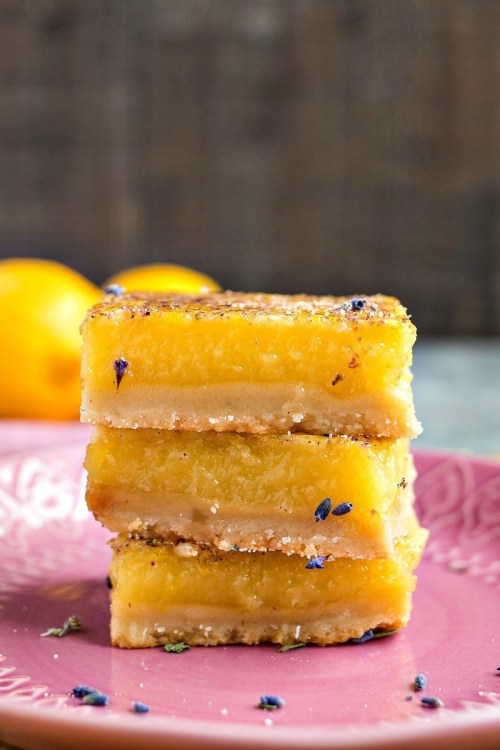 sweetoothgirl:Lemon Bars (Recipes 1, 2, 3, 4, 5, 6, 7, 8, 9, 10)