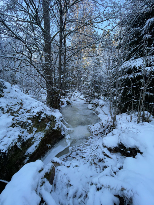 michaelnordeman:The stream in winter. 