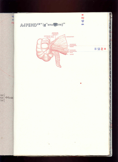 When letterpress and other book arts classes visit our special collections, they almost always want 