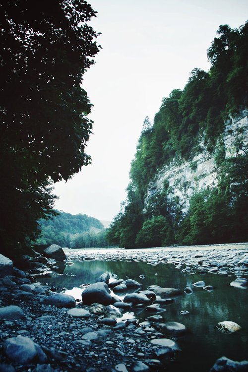 raises:  nature/vintage blog   