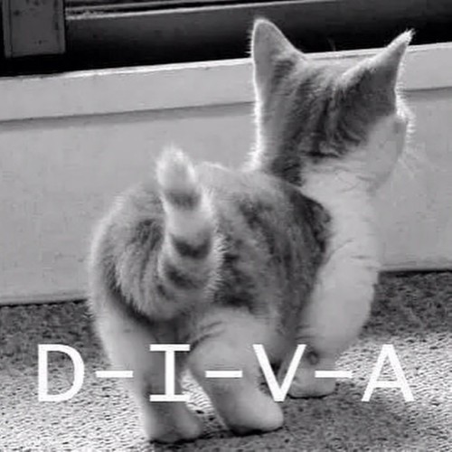 DIVA !! - www.evieefashions.com