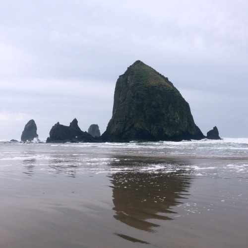 taurus-asc: beaches are prettiest in the gloom