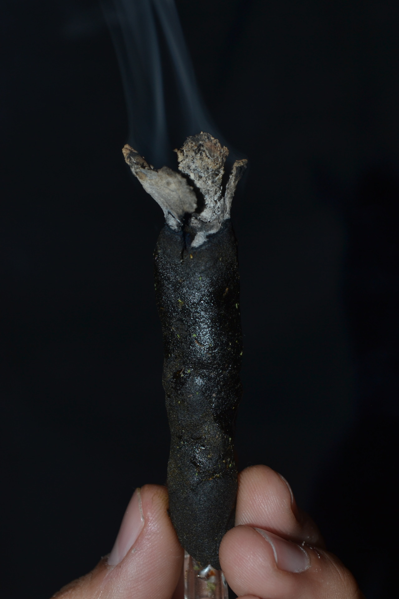 mauiw0wie:  5.5 grams of hash a 1.75grams of GPD later…. Smoked a giggle stick