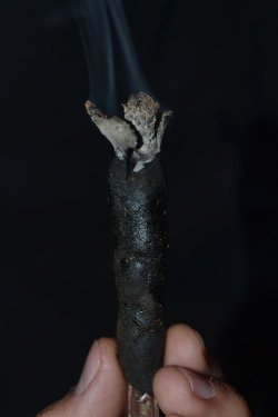 mauiw0wie:  5.5 grams of hash a 1.75grams of GPD later…. Smoked a giggle stick and made the final touches for it