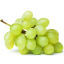 google-grapes