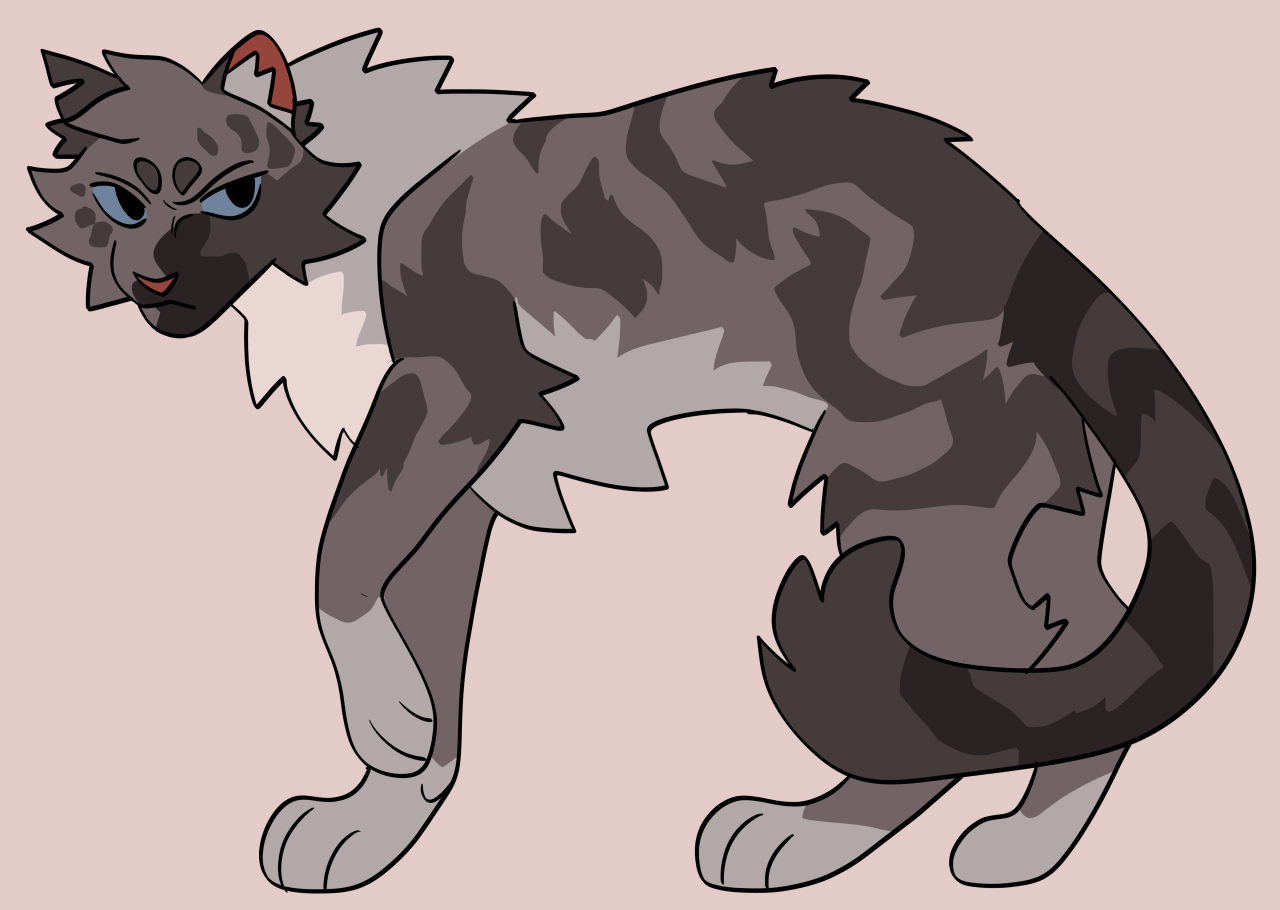 Gee on X: Warriors concept artistwhen? Ashfur concept design I did  today c:  / X