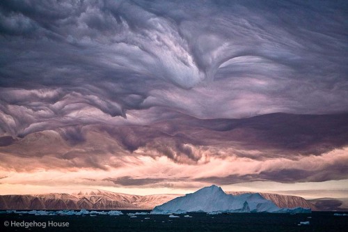 sixpenceee: Asperatus Clouds are so rare that they were only classified as of 2009. We know little about them other than the fact that they look mesmerizing.