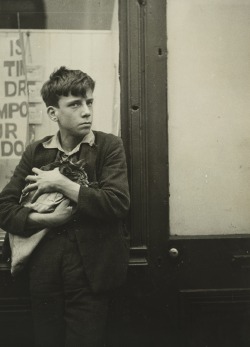 poboh:  Garçon avec un chat dans les bras appuyé Contre une Vitrine / Boy with a cat in her arms pressed against a Showcase, 1934, Dora Maar. French (1907 - 1997) 