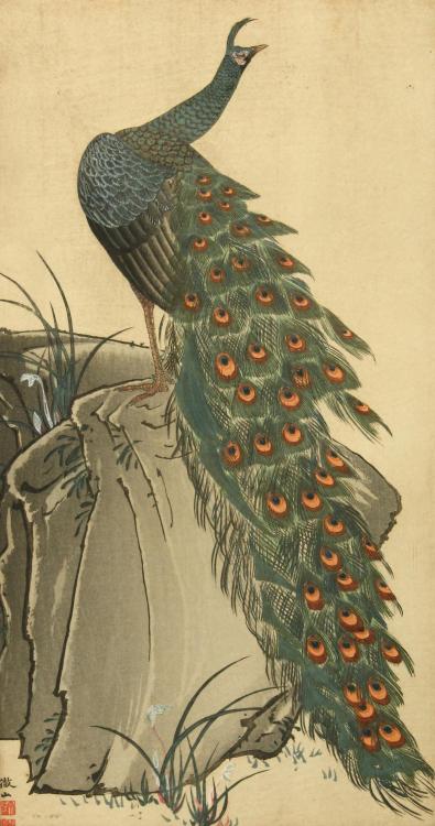                                                      Peacocks1. A Peacock by Mori Tessan (tetsuzan) 