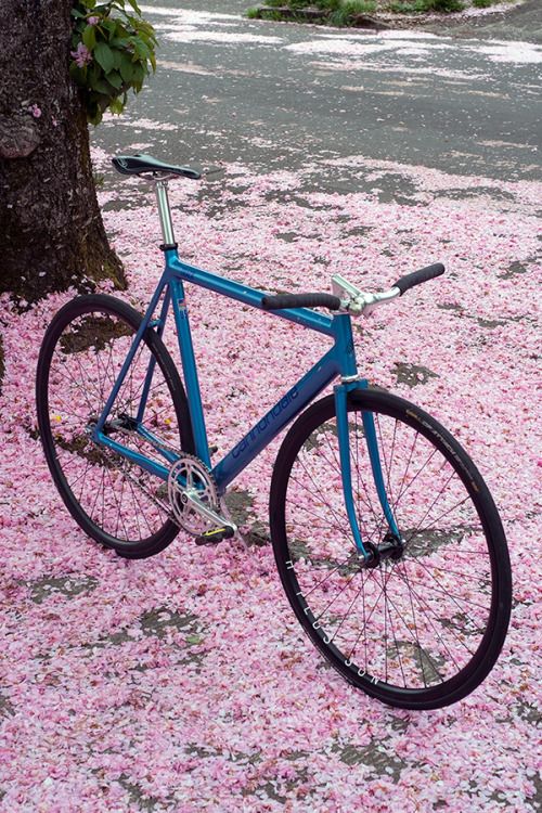 davewellbeloved: Perfect (via Springdale Track - PEDAL Consumption)