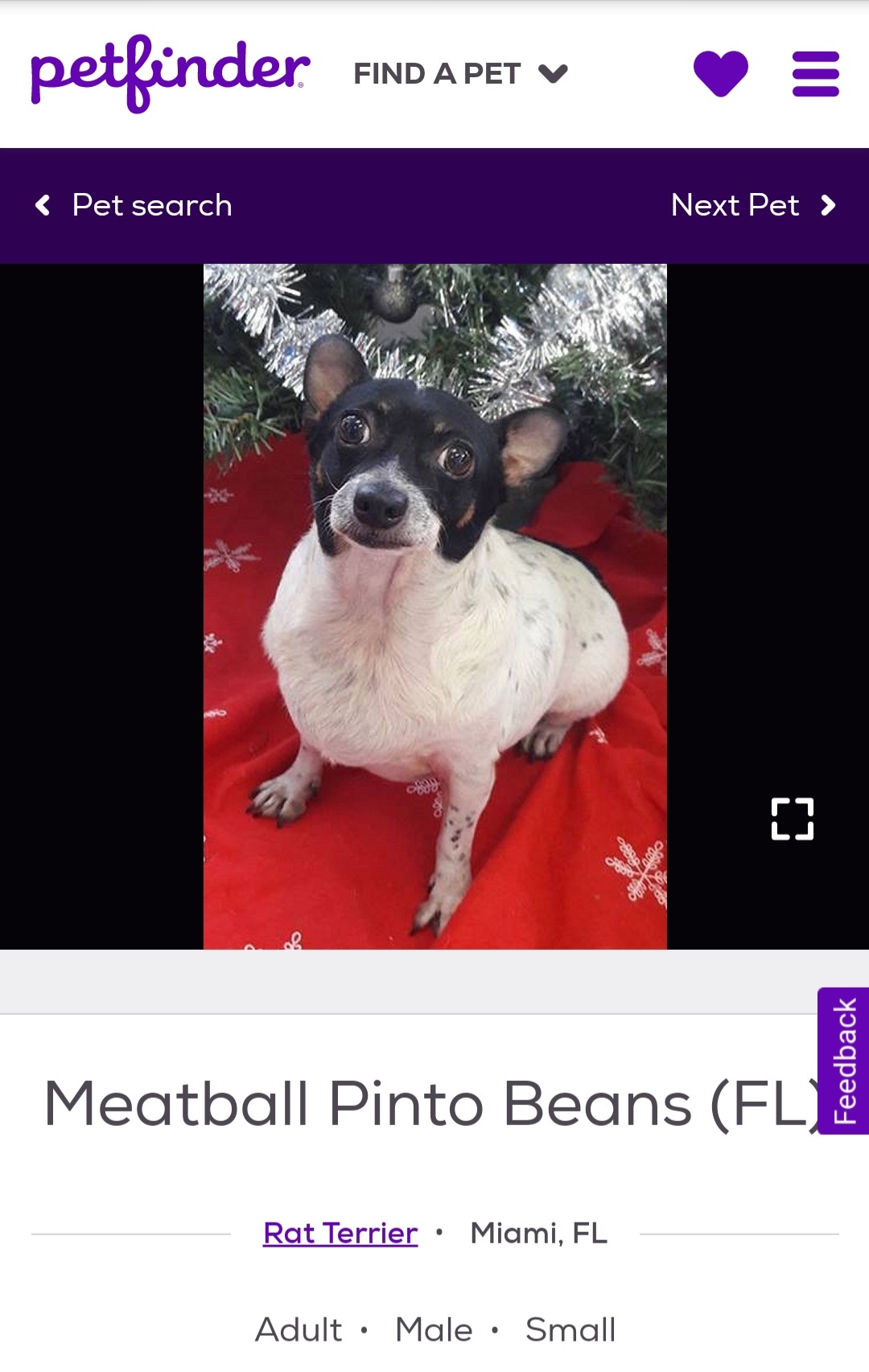 Funny Pet Names Found On The Internet Funny Pet Names Found On The Internet