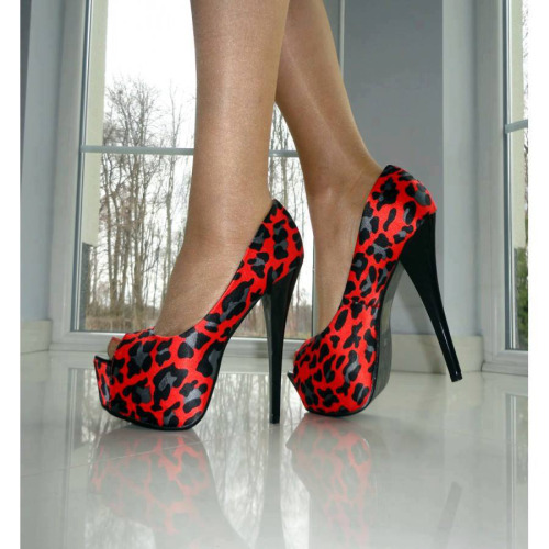 (via d leopard design shoes)