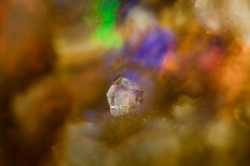 Unknown crystal within opal from Magdalena, Jalisco, Mexico.Field of view is 3.05 mm.  