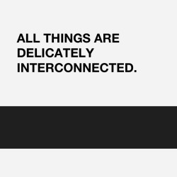  all things are delicately interconnected