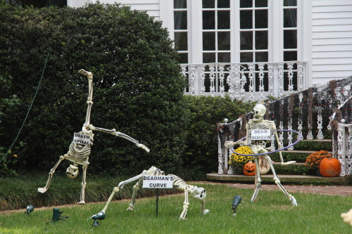 trashfirefallon:  xoxoblu:  quillusquillus:  maosandchayhem:  So I drive by this house every day on my way to work and it is definitely the Skeleton War HQ Photo Source: [x]  this is a fucking masterpiece   @trashfirefallon  I can’t go back to jail