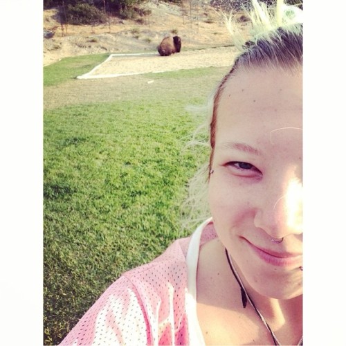#bison #selfie #buffalo #america #catalina #catalinaisland #california #usa #grass #sun #cute #beach