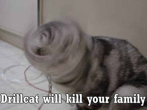 seananmcguire: sophiaslittleblog:  tzikeh:  owl-librarian:  sasgalula:  coolcatgroup: