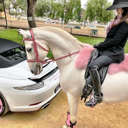 Car or Horse ? 