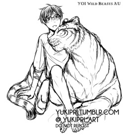 yukipri:  Yuuri & Literal Tiger!Yurio