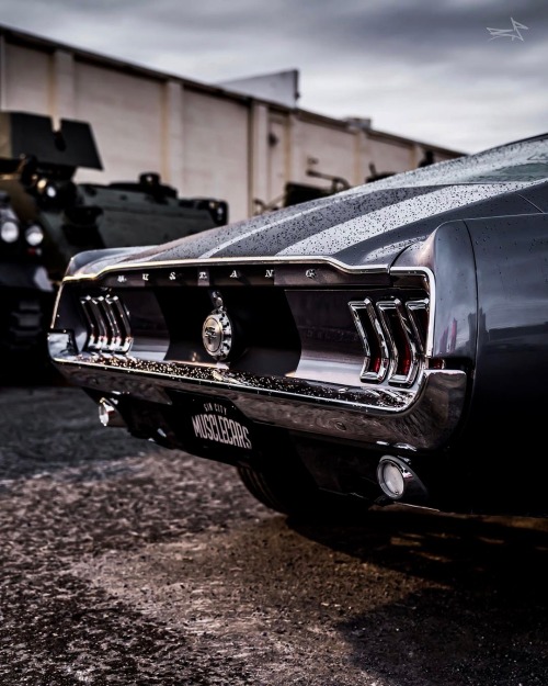 utwo:  Ford Mustang Fastback© Bastos photography    Oo, dat ass 🤤👌🏼