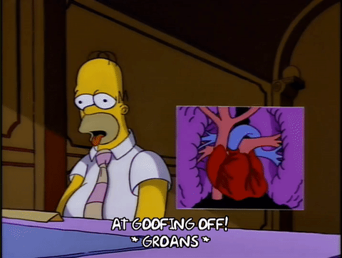 The Simpsons Homers Heart Attack