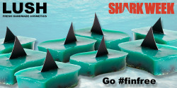 loyalremus-deactivated20150920: if you like Lush, and want to help support a great cause, they have a limited edition soap called “shark fin soap”. they paired up with discovery channel’s ‘shark week’ and 100% of the price of the soap will