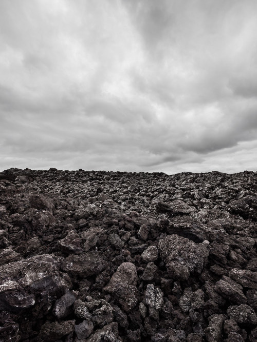thewomb:  Gustav Willeit