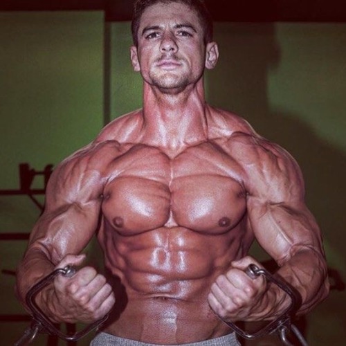 UK Muscle Fan