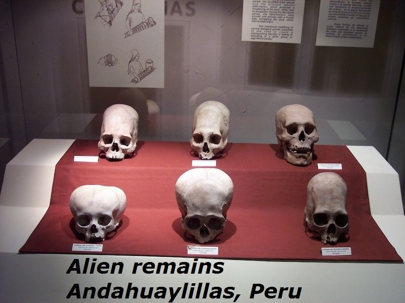 pleiadian-starseed:  they have been here like forever!!! 