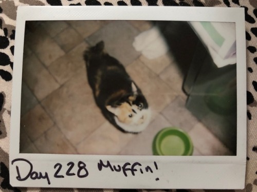 Day 228.