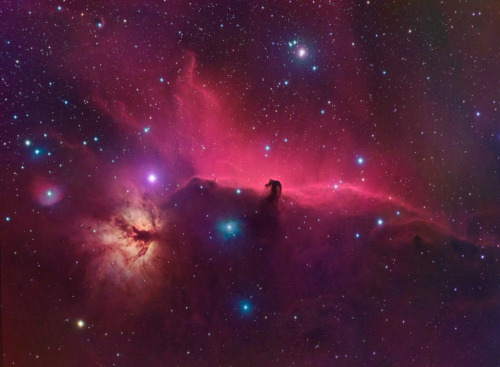 galaxyshmalaxy: Horsehead Nebula (by kappacygni)