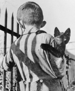 Original caption: With the suspicion typical of his species, this stray cat, picked up for adoption by a little boy, stared sharply at the cameraman who took this picture. September 20, 1940. 
