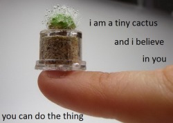 intersected:  thank you tiny cactus 