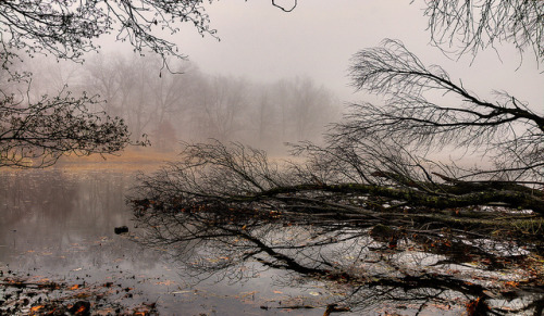 Foggy Mountain Lake by picturesofyou- on Flickr.