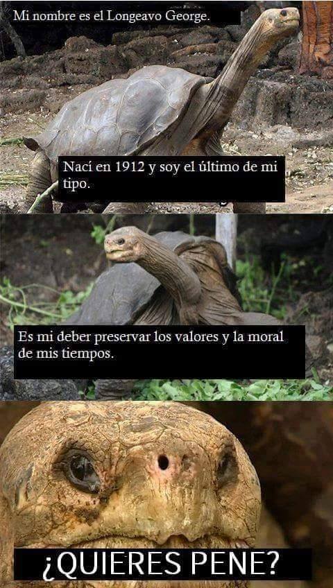 El Fuego de mi Alma