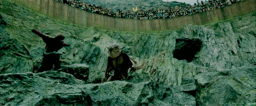 rupelover:24 November 1994 - The First Task of the Triwizard Tournament. 