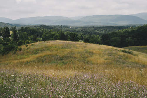 railpass:  Killing Time in Shenandoah The downside to going to Virginia for a crazy rocket launch is that it’s not going anywhere unless the weather is perfect. All told, after getting into town the launch suffered two day-long delays that left me